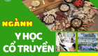 NGÀNH Y HỌC CỔ TRUYỀN